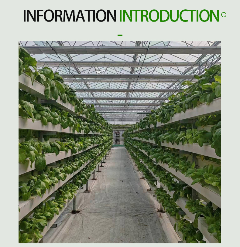 Agriculture Garden FarmingVertical Growing Systems plastic pipe for hydroponic nft pvc channel Hydroponics System Equipment Factory Wholesale Export