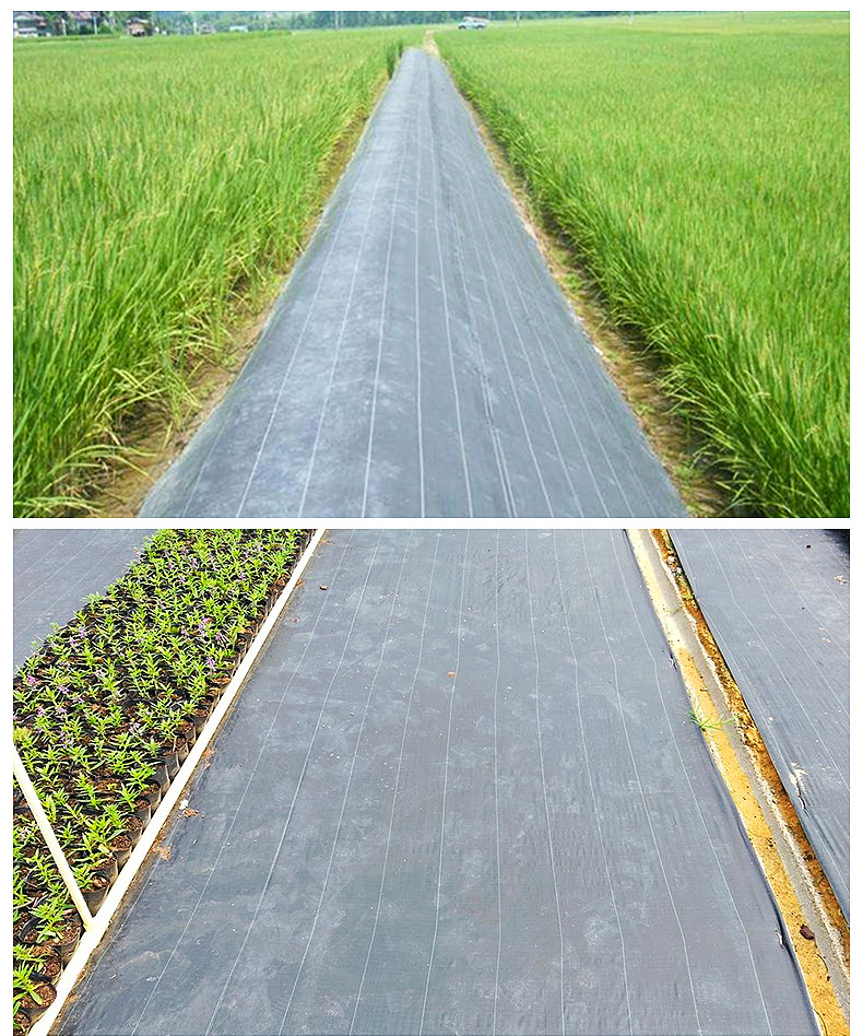 Weed Control Block Mat Fabric Cloth Weed Weed Non Woven For Agricultural Ground Cover Sunscreen Shade Net Product Manufacturing