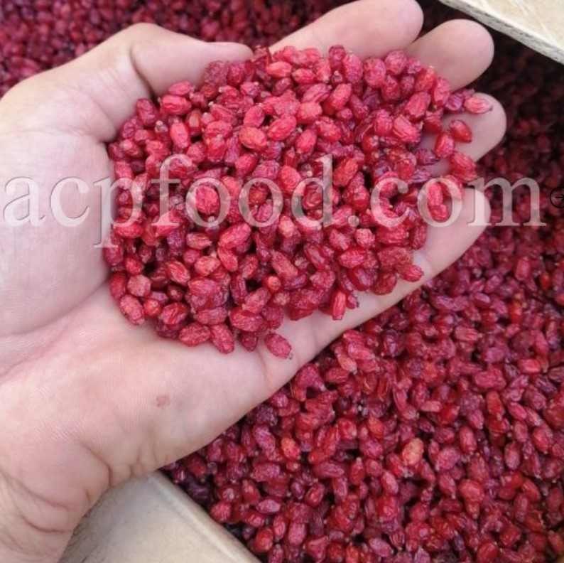 Dried Barberry