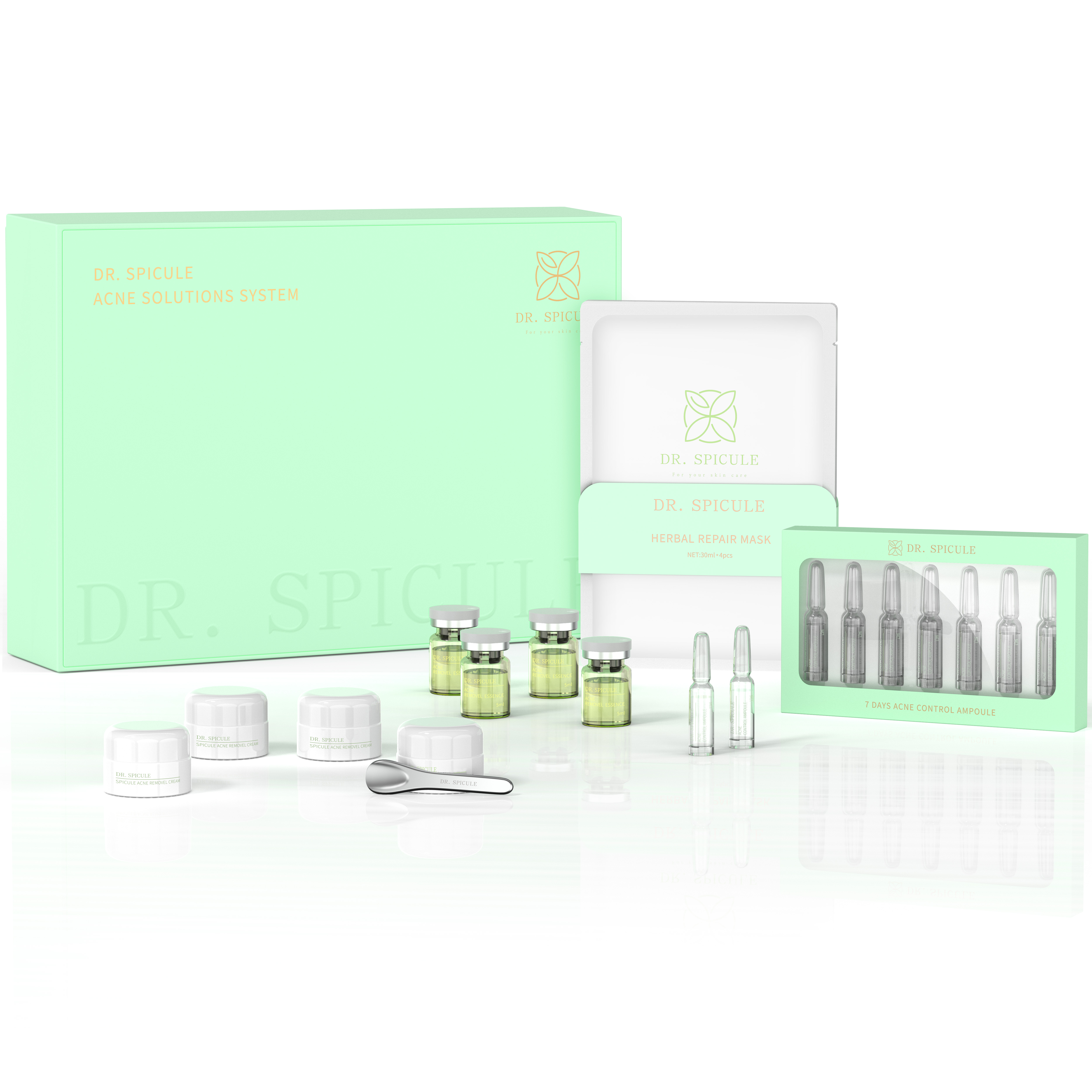 Dr. Spicule Acne Solution System (4 treatments)